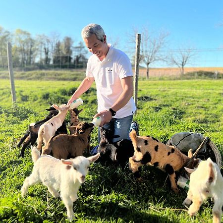 Ferme Des Petites Oreilles 4 Etoiles Montignac-Lascaux Kültér fotó