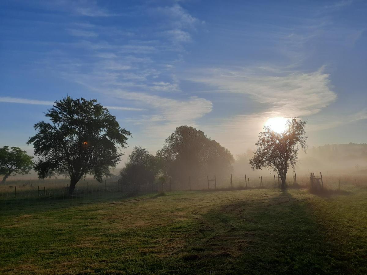 Ferme Des Petites Oreilles 4 Etoiles Montignac-Lascaux Kültér fotó