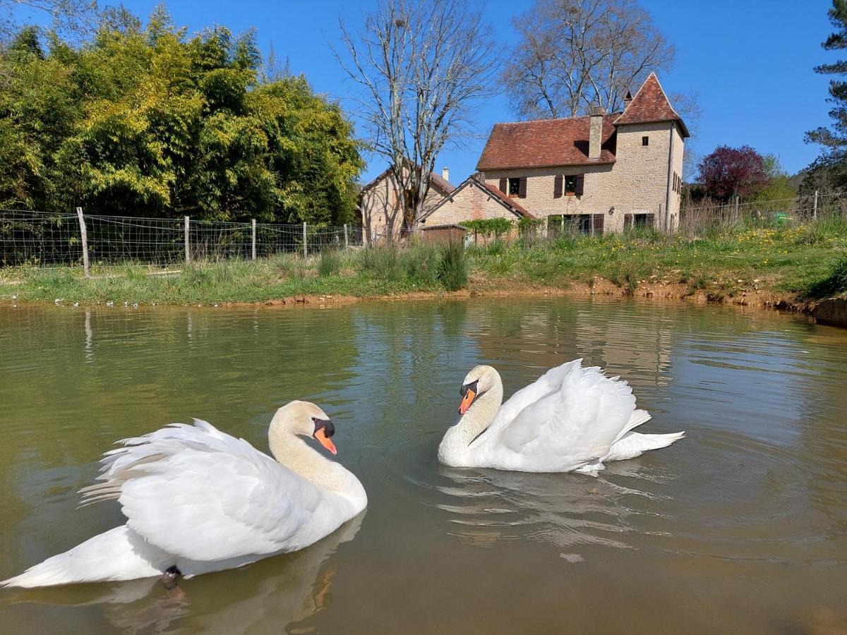 Ferme Des Petites Oreilles 4 Etoiles Montignac-Lascaux Kültér fotó