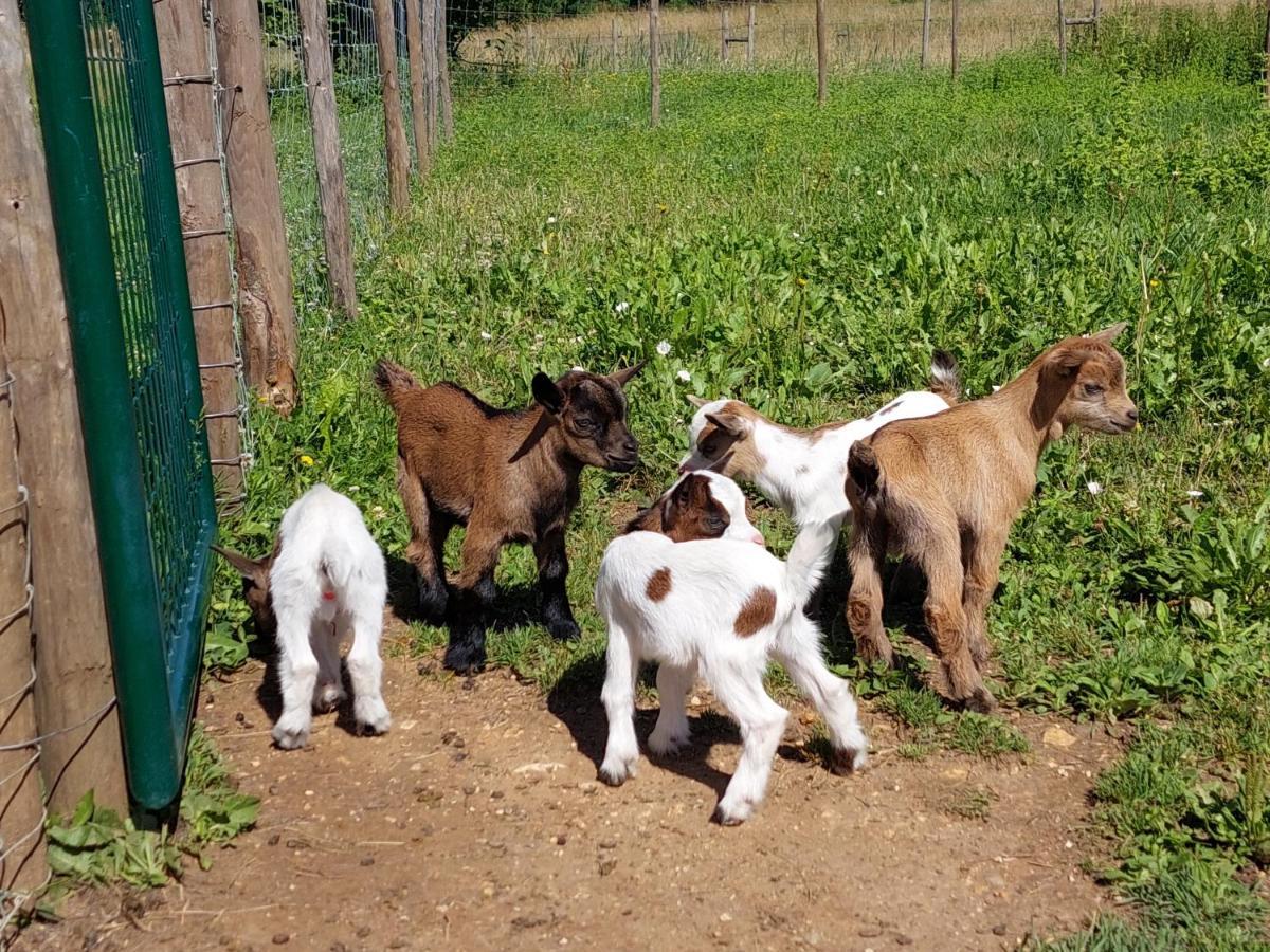 Ferme Des Petites Oreilles 4 Etoiles Montignac-Lascaux Kültér fotó