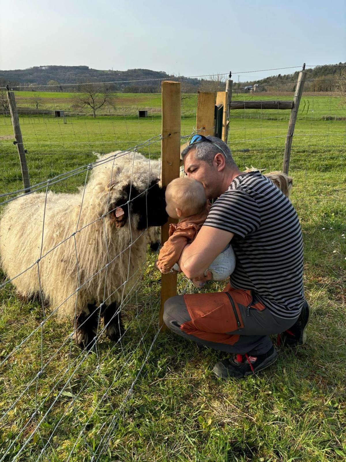 Ferme Des Petites Oreilles 4 Etoiles Montignac-Lascaux Kültér fotó